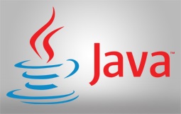 JAVA